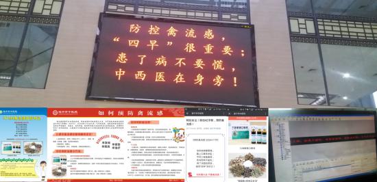 圖片7.jpg
